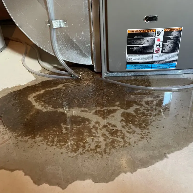 Pipe Burst and Leak Restoration in Pikeville, KY