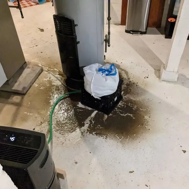 Sewage Backup Cleanup Service in Pikeville, KY